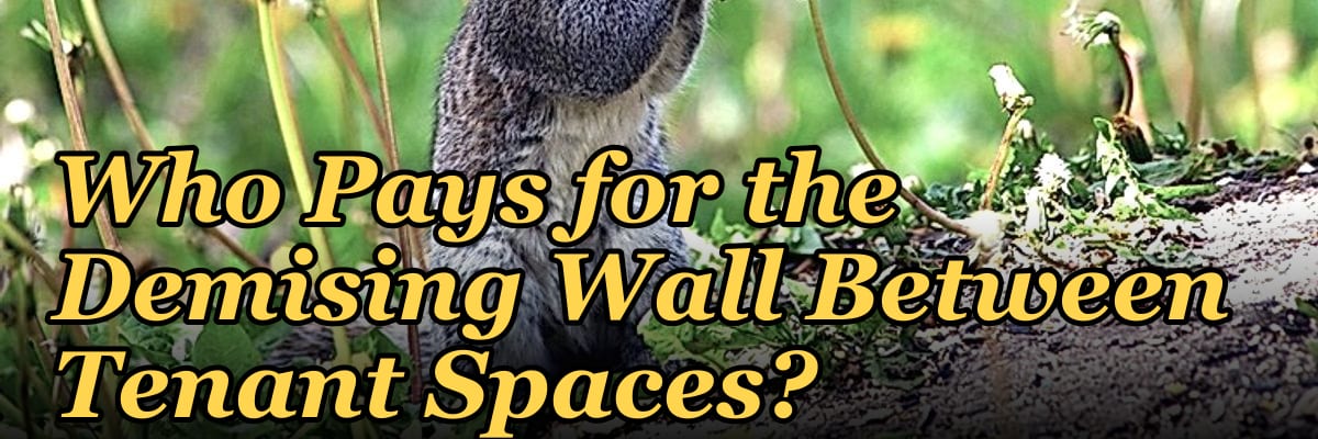Who Pays for the Demising Wall Between Tenant Spaces?