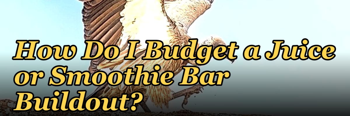 How Do I Budget a Juice or Smoothie Bar Buildout?
