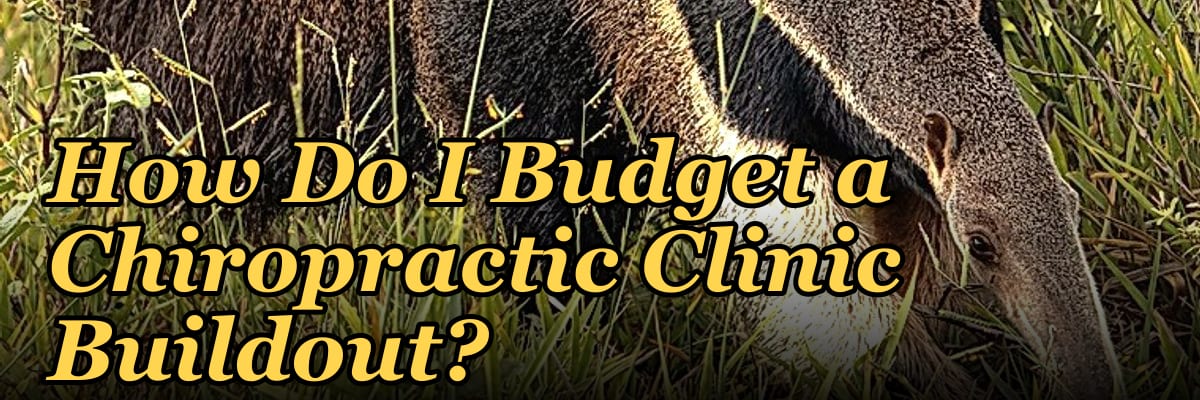 How Do I Budget a Chiropractic Clinic Buildout?