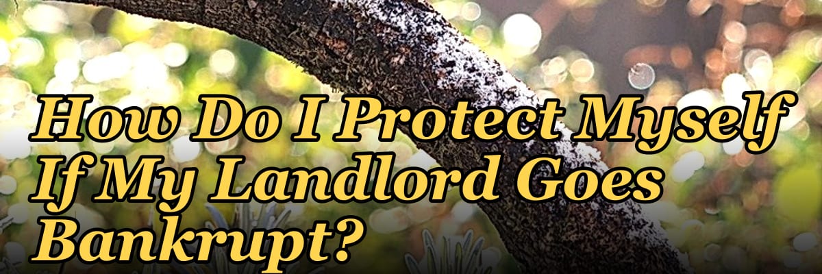 How Do I Protect Myself If My Landlord Goes Bankrupt?