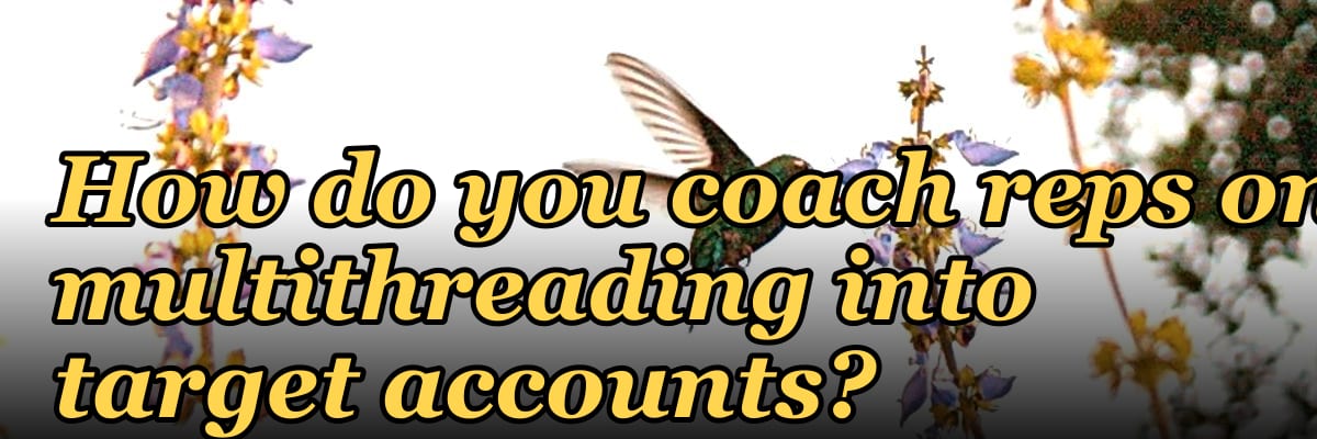 How do you coach reps on multithreading into target accounts?