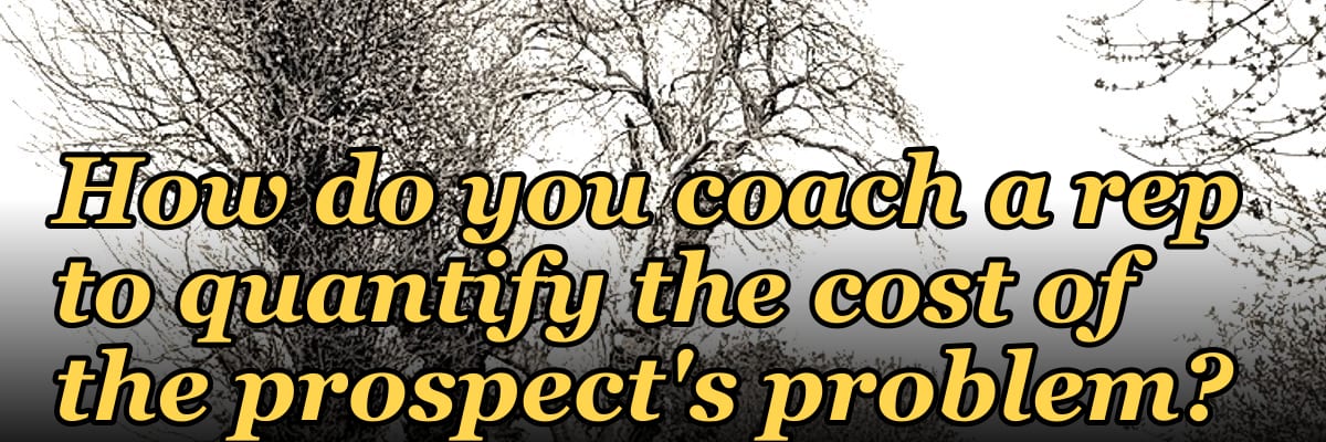 How do you coach a rep to quantify the cost of the prospect's problem?