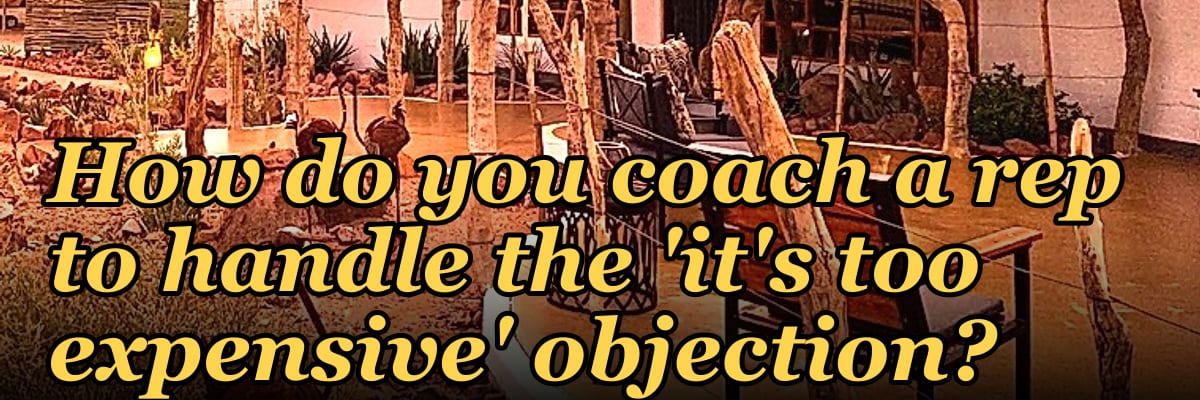 How do you coach a rep to handle the 'it's too expensive' objection?
