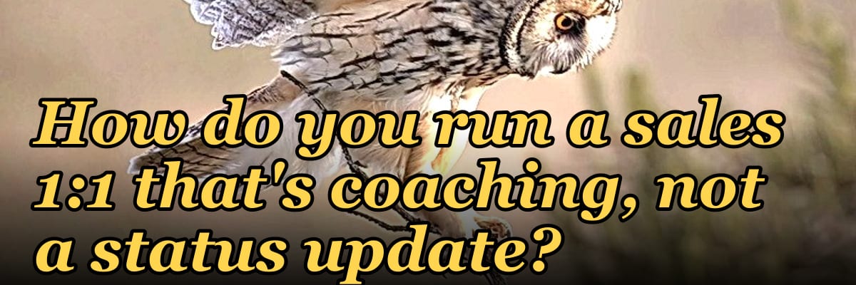How do you run a sales 1:1 that's coaching, not a status update?