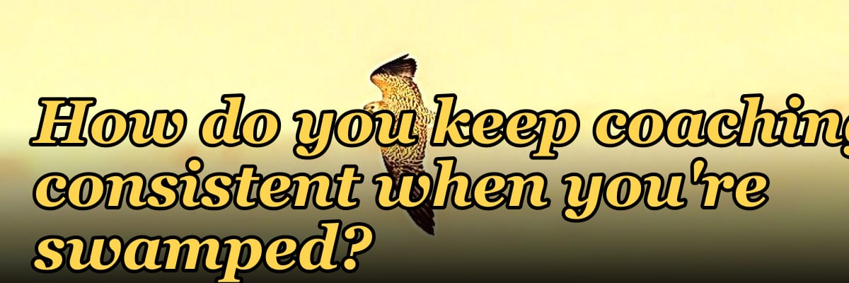 How do you keep coaching consistent when you're swamped?