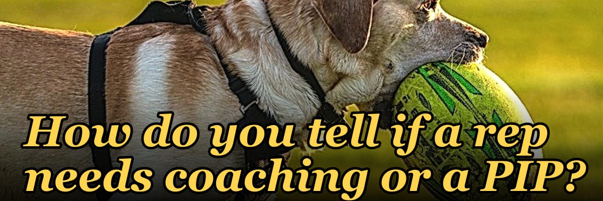 How do you tell if a rep needs coaching or a PIP?