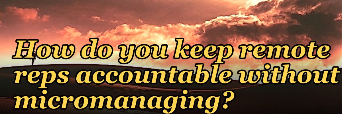 How do you keep remote reps accountable without micromanaging?