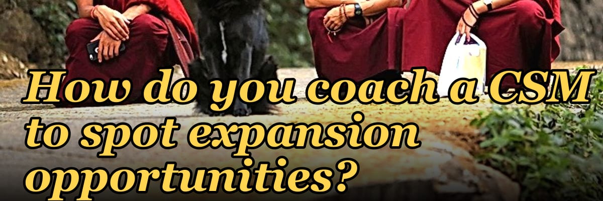 How do you coach a CSM to spot expansion opportunities?