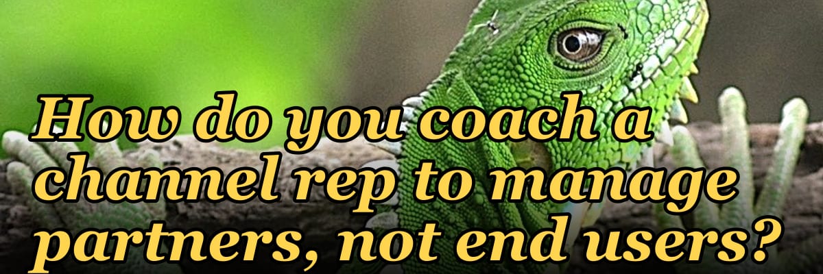 How do you coach a channel rep to manage partners, not end users?