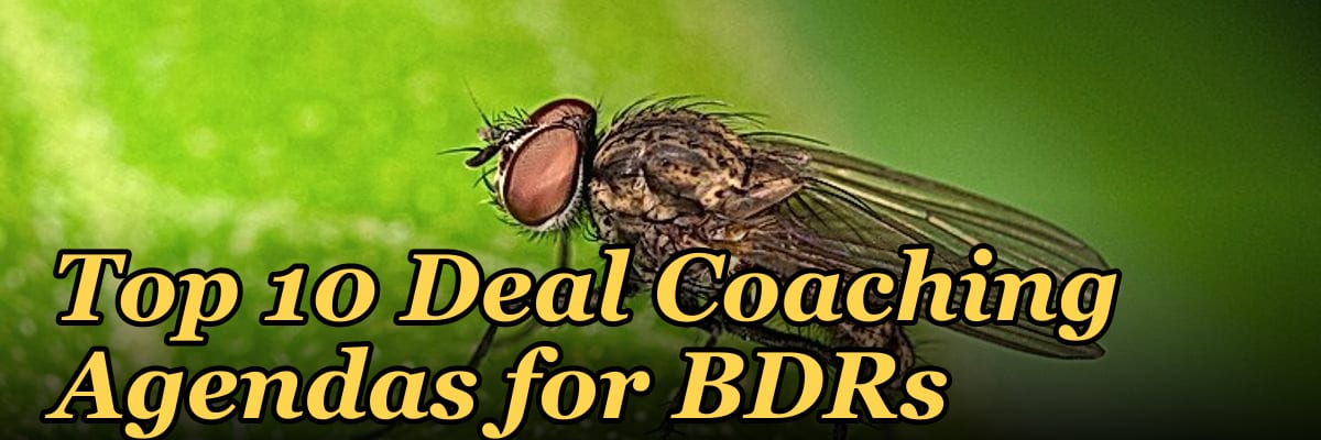 Top 10 Deal Coaching Agendas for BDRs in 2027