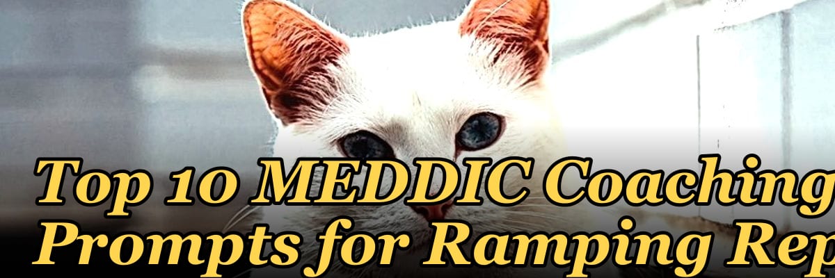 Top 10 MEDDIC Coaching Prompts for Ramping Reps in 2027