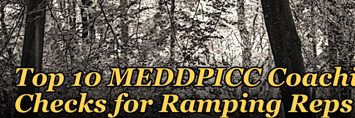 Top 10 MEDDPICC Coaching Checks for Ramping Reps in 2027