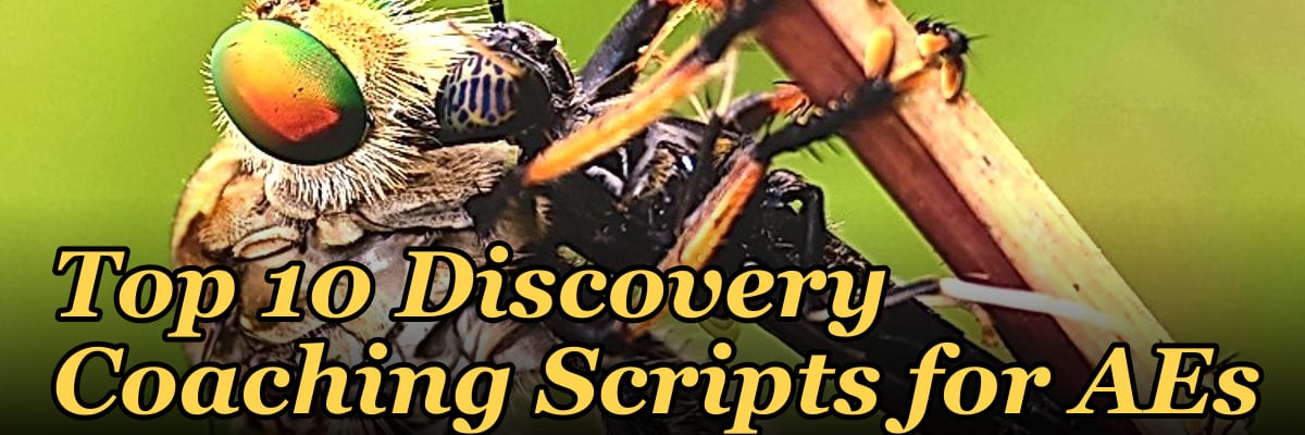 Top 10 Discovery Coaching Scripts for AEs in 2027