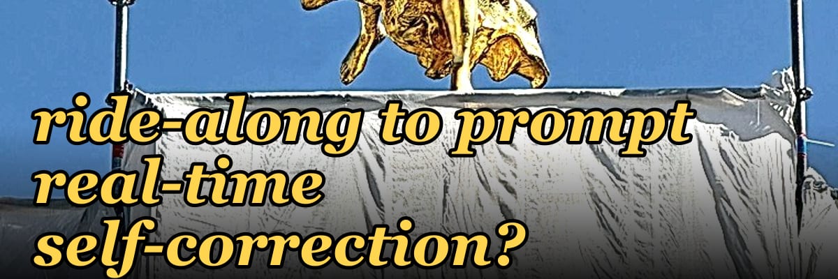 What is the best question to ask during a ride-along to prompt real-time self-correction?