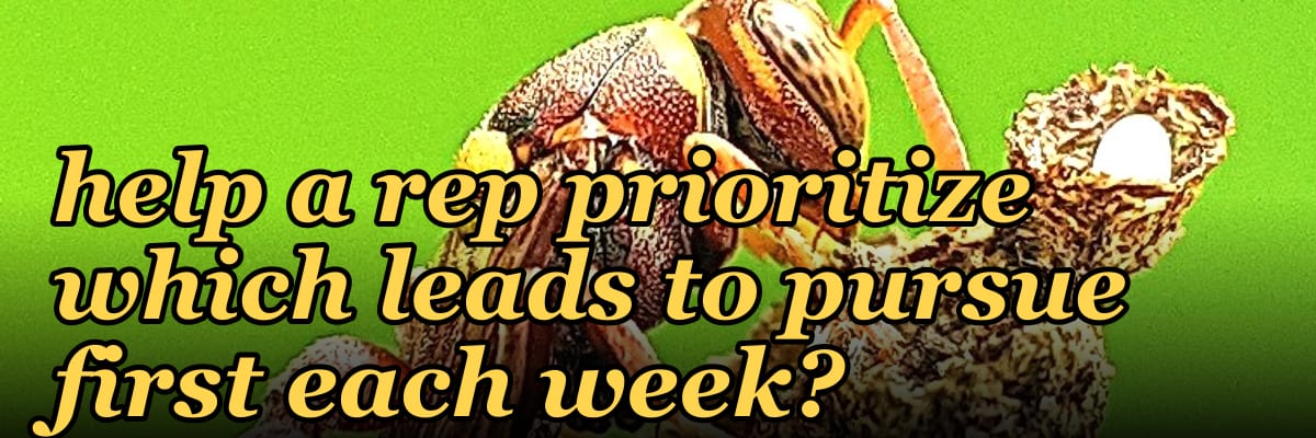 What single question can help a rep prioritize which leads to pursue first each week?