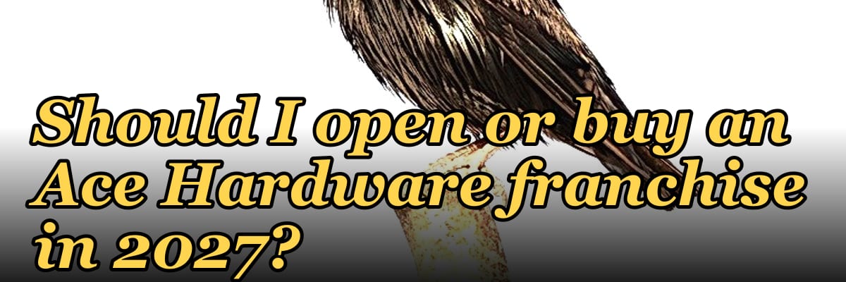 Should I open or buy an Ace Hardware franchise in 2027?