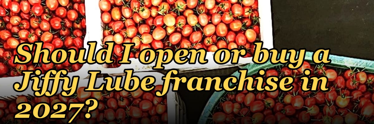 Should I open or buy a Jiffy Lube franchise in 2027?