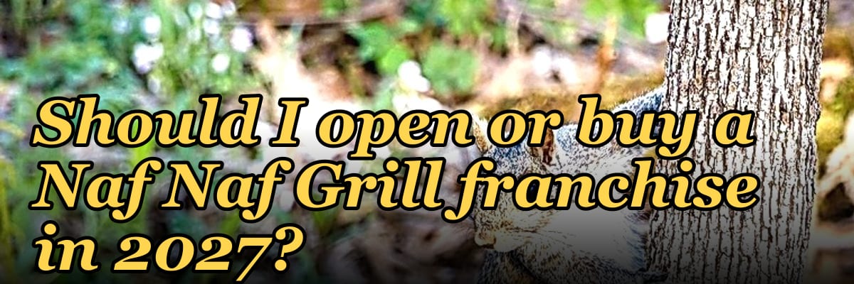 Should I open or buy a Naf Naf Grill franchise in 2027?