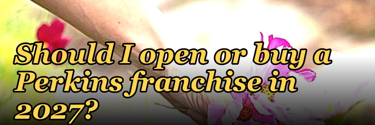 Should I open or buy a Perkins franchise in 2027?