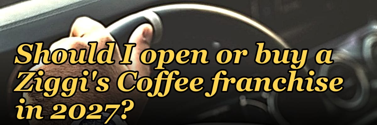 Should I open or buy a Ziggi's Coffee franchise in 2027?