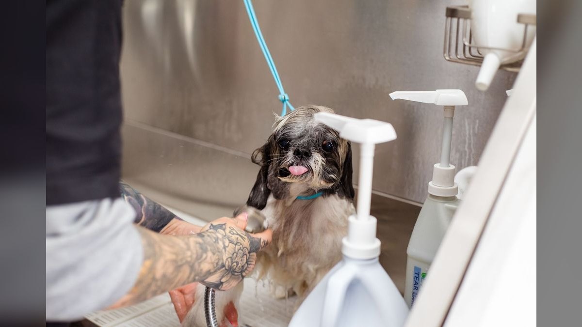 Should I open or buy a Re-Bath franchise in 2027 — figure 1