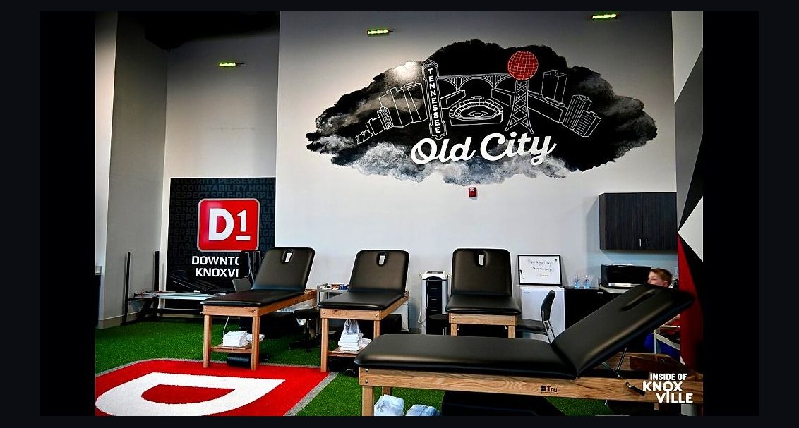 Should I open or buy a D1 Training franchise in 2027?