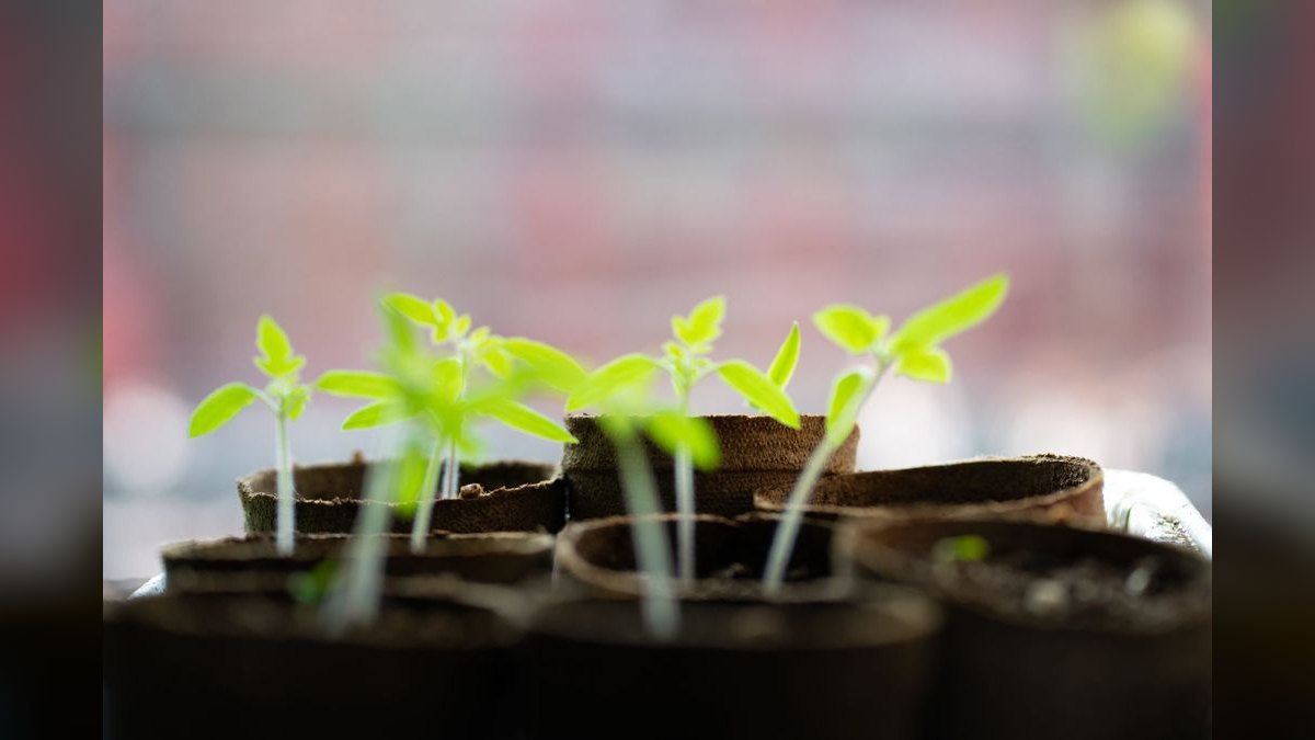 Can HubSpot keep growing 20% YoY into 2027?