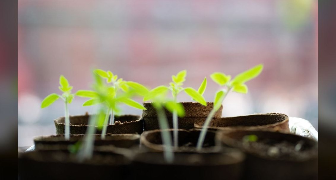 Can HubSpot keep growing 20% YoY into 2027?