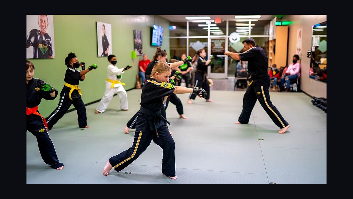 Should I open or buy a Premier Martial Arts franchise in 2027?