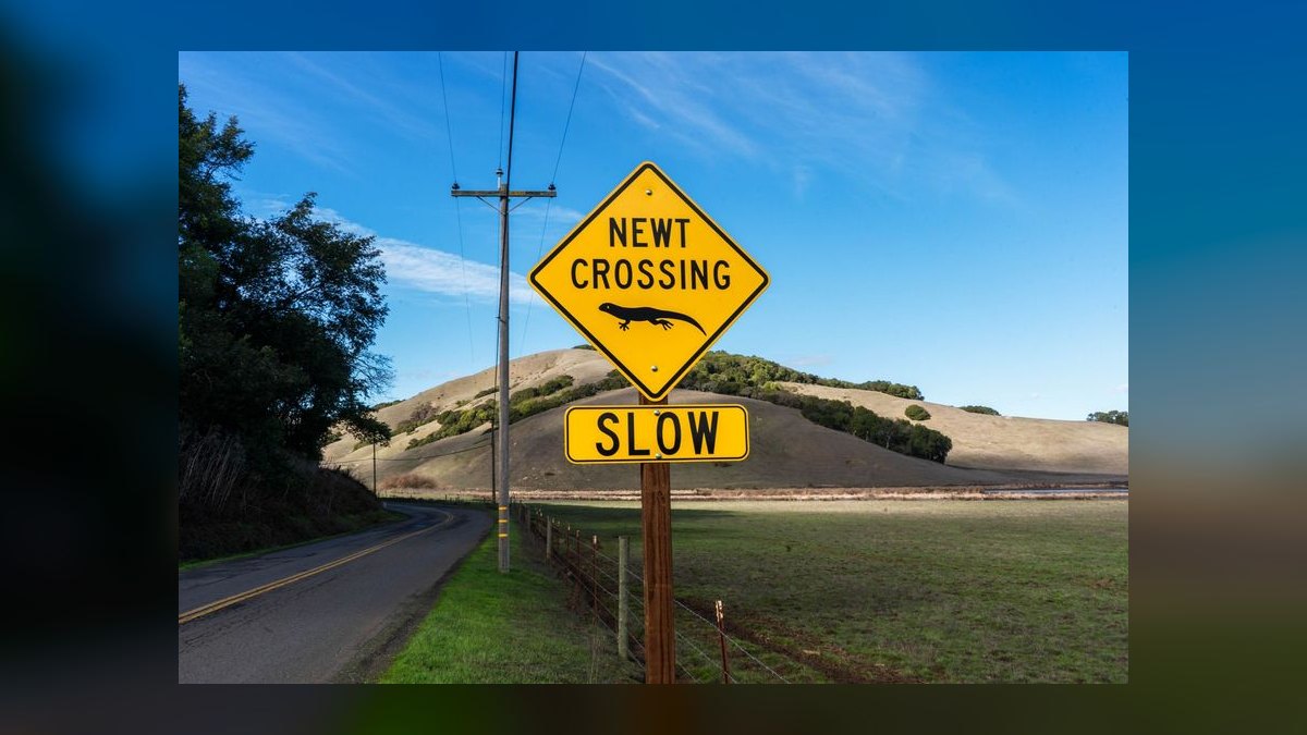 Why did Salesforce growth slow in 2025 — figure 7