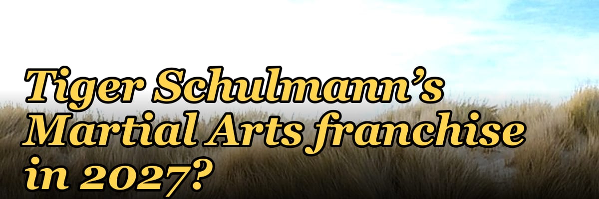 Should I open or buy a Tiger Schulmann’s Martial Arts franchise in 2027?