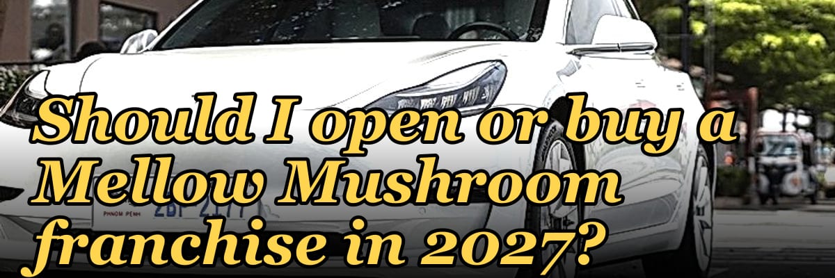 Should I open or buy a Mellow Mushroom franchise in 2027?