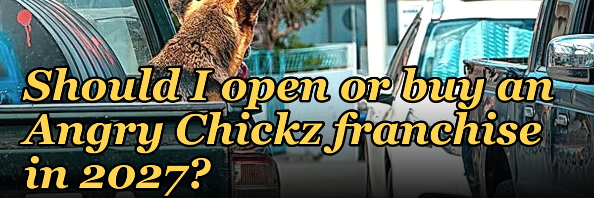 Should I open or buy an Angry Chickz franchise in 2027?