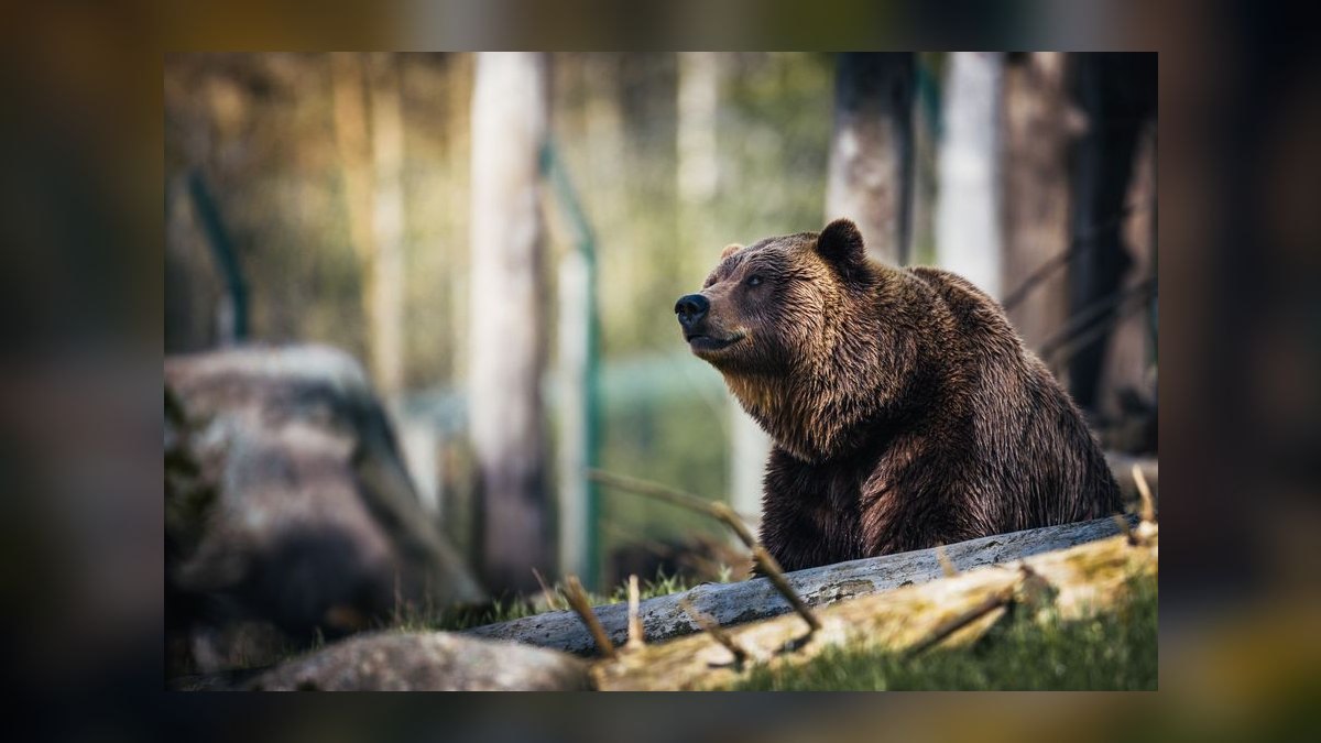 What is the bear case for Salesforce 2027 — figure 6