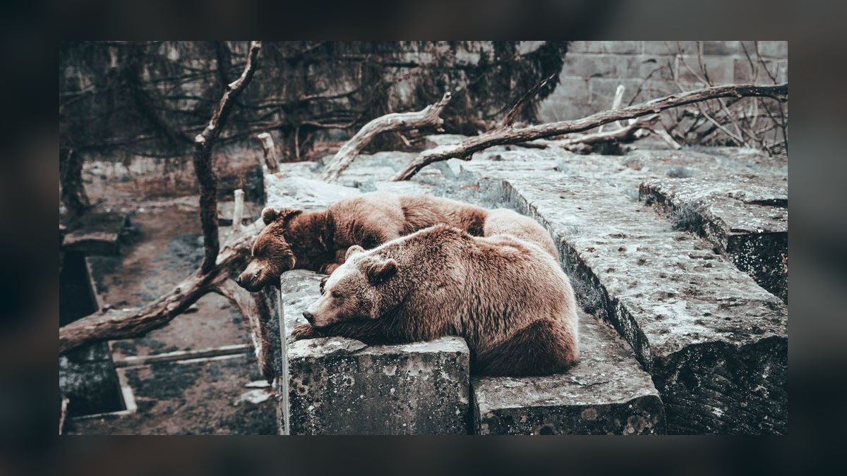 What is the bear case for Salesforce 2027 — figure 8