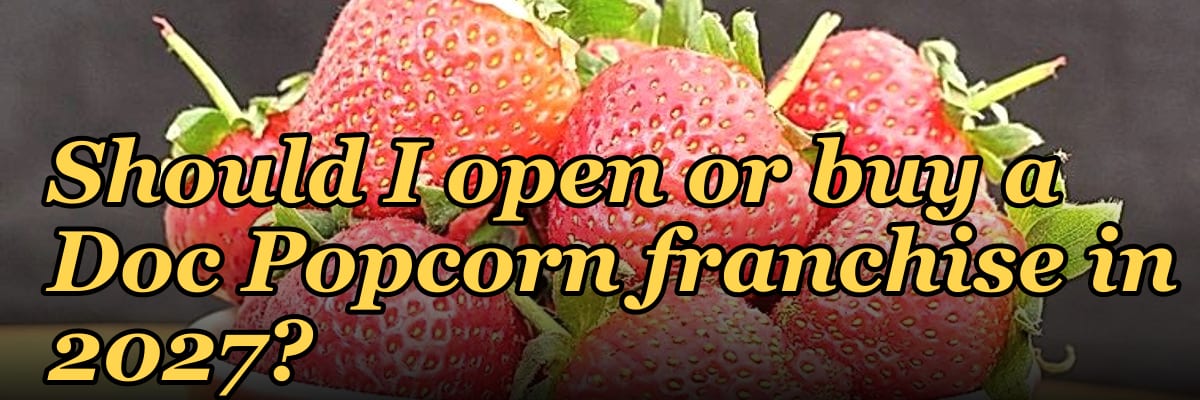 Should I open or buy a Doc Popcorn franchise in 2027?