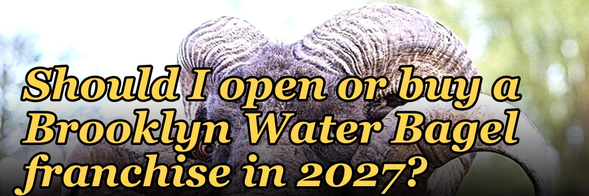 Should I open or buy a Brooklyn Water Bagel franchise in 2027?