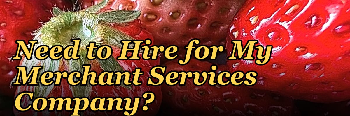 How Many Sales Reps Do I Need to Hire for My Merchant Services Company?