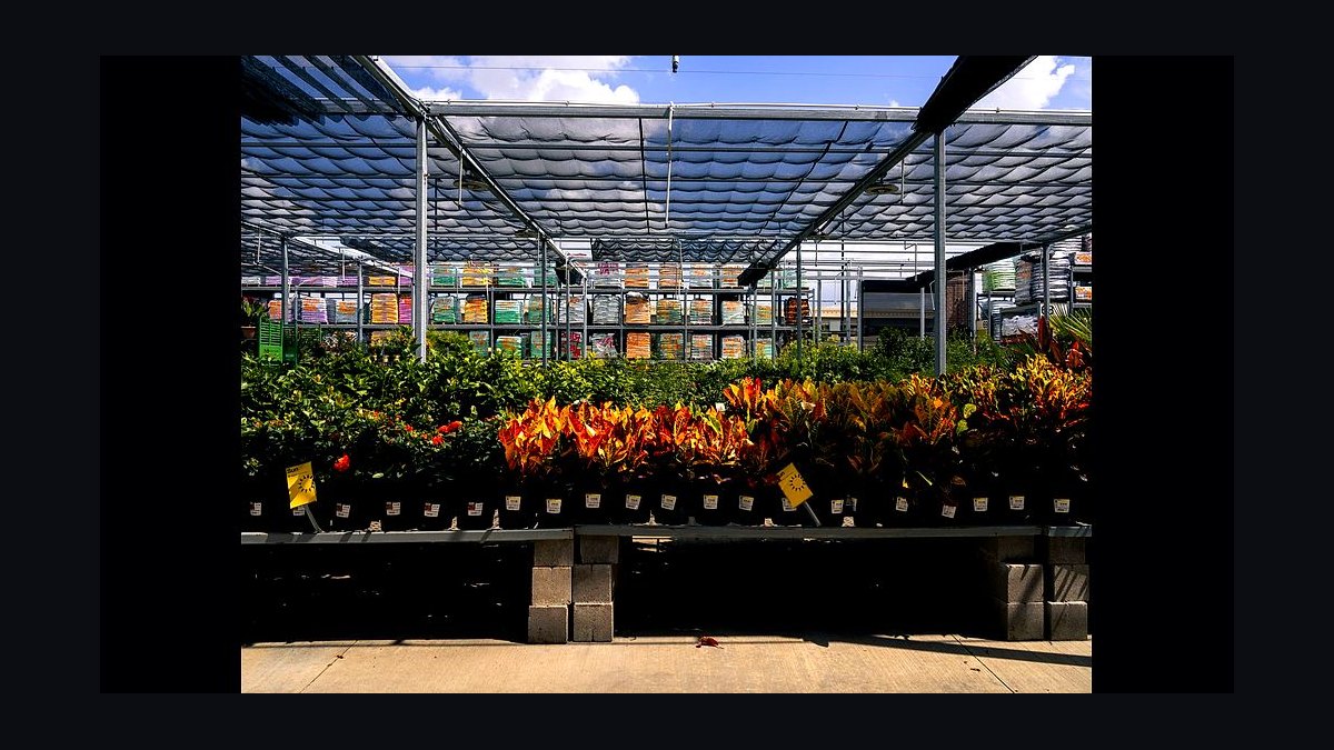 How Many Employees Should I Schedule Each Day at My Garden Center in 2026?