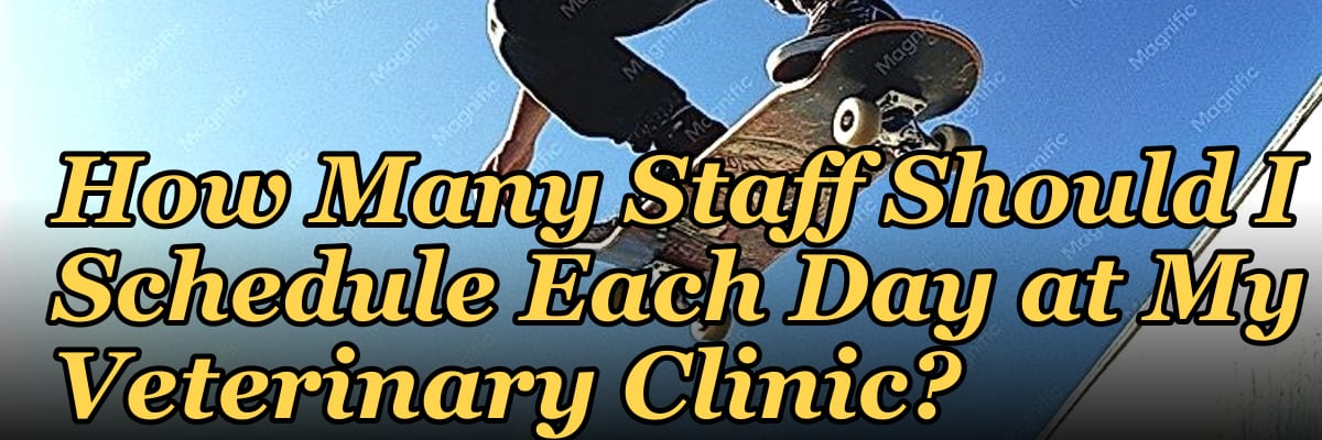 How Many Staff Should I Schedule Each Day at My Veterinary Clinic?