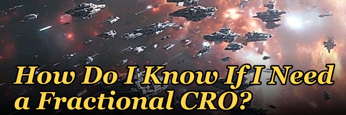 How Do I Know If I Need a Fractional CRO?