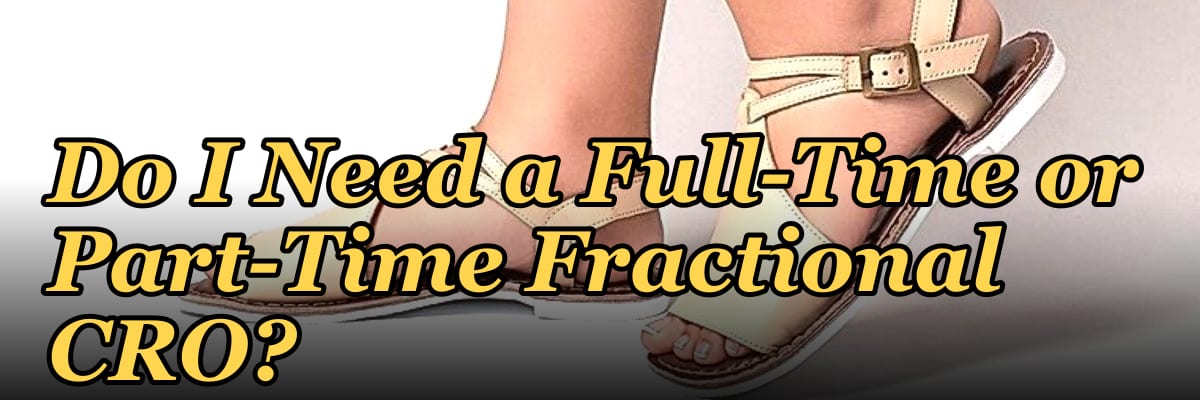 Do I Need a Full-Time or Part-Time Fractional CRO?