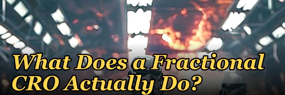 What Does a Fractional CRO Actually Do?