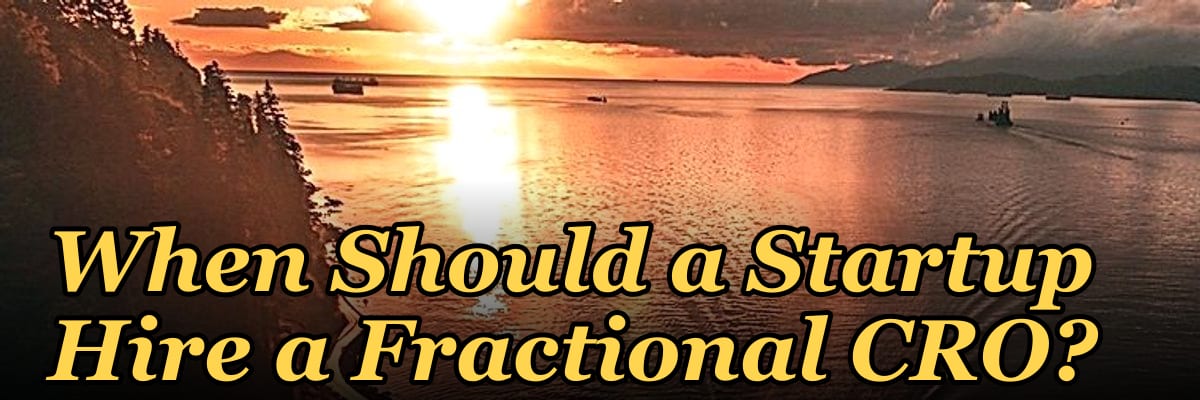 When Should a Startup Hire a Fractional CRO?