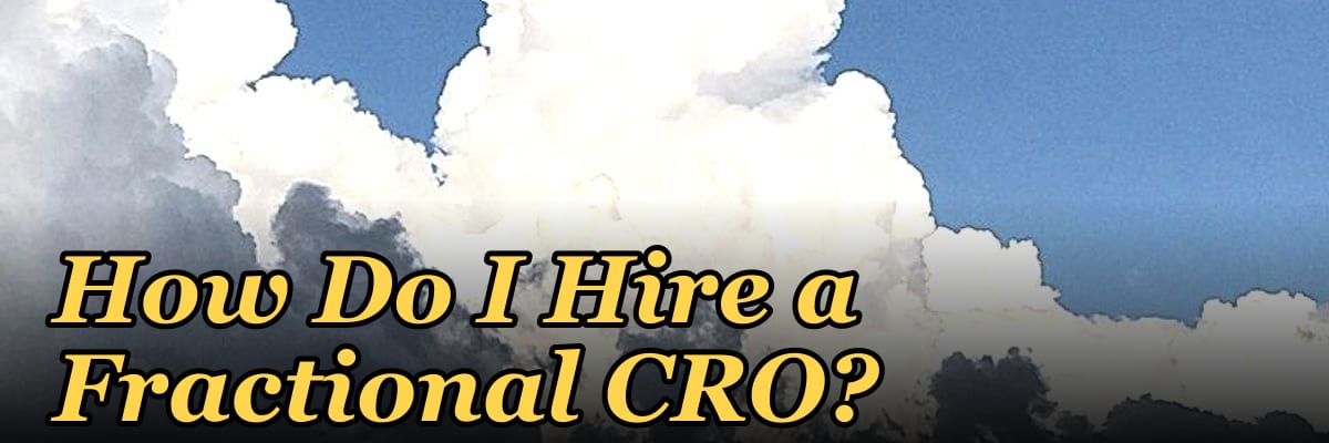 How Do I Hire a Fractional CRO?