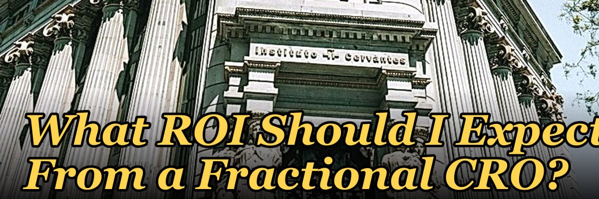 What ROI Should I Expect From a Fractional CRO?
