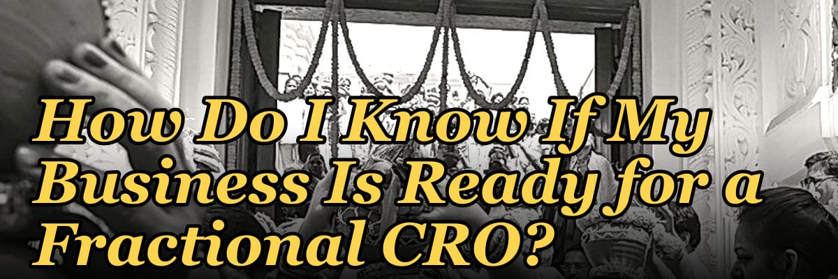 How Do I Know If My Business Is Ready for a Fractional CRO?