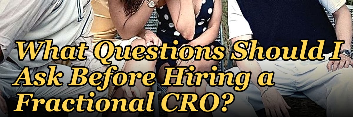 What Questions Should I Ask Before Hiring a Fractional CRO?