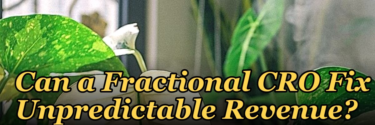 Can a Fractional CRO Fix Unpredictable Revenue?