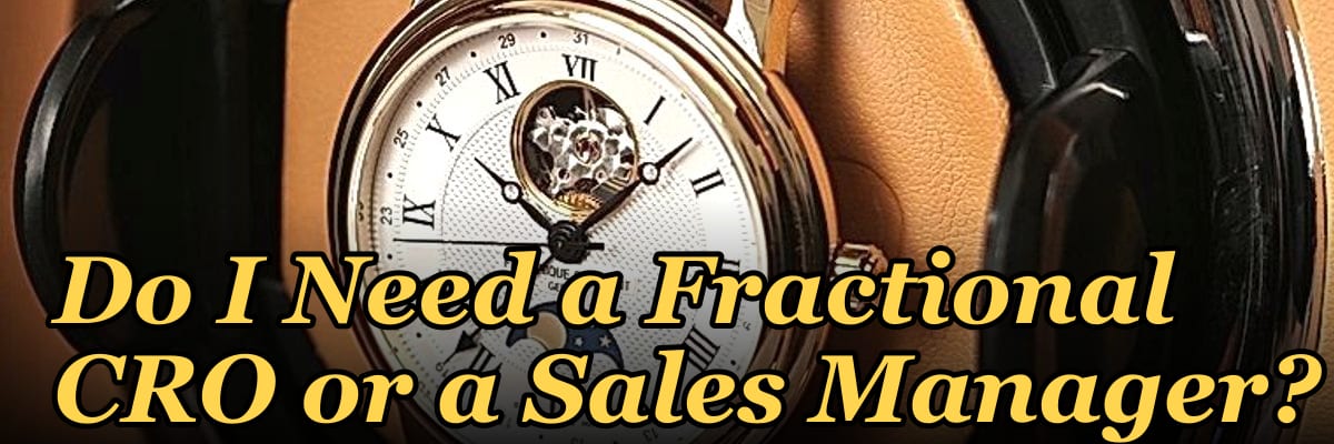 Do I Need a Fractional CRO or a Sales Manager?